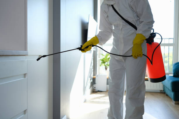 Woodcliff Lake, NJ Mold Removal Company