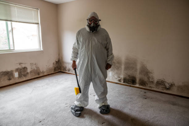 Best Emergency Mold Removal  in Woodcliff Lake, NJ